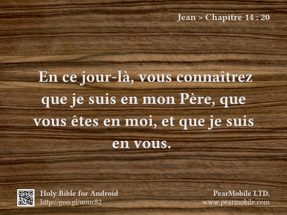 Jean, Chapitre 14:20